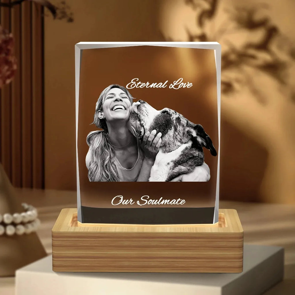 Custom 3D Crystal Picture Frame (Faceted) - XXLarge